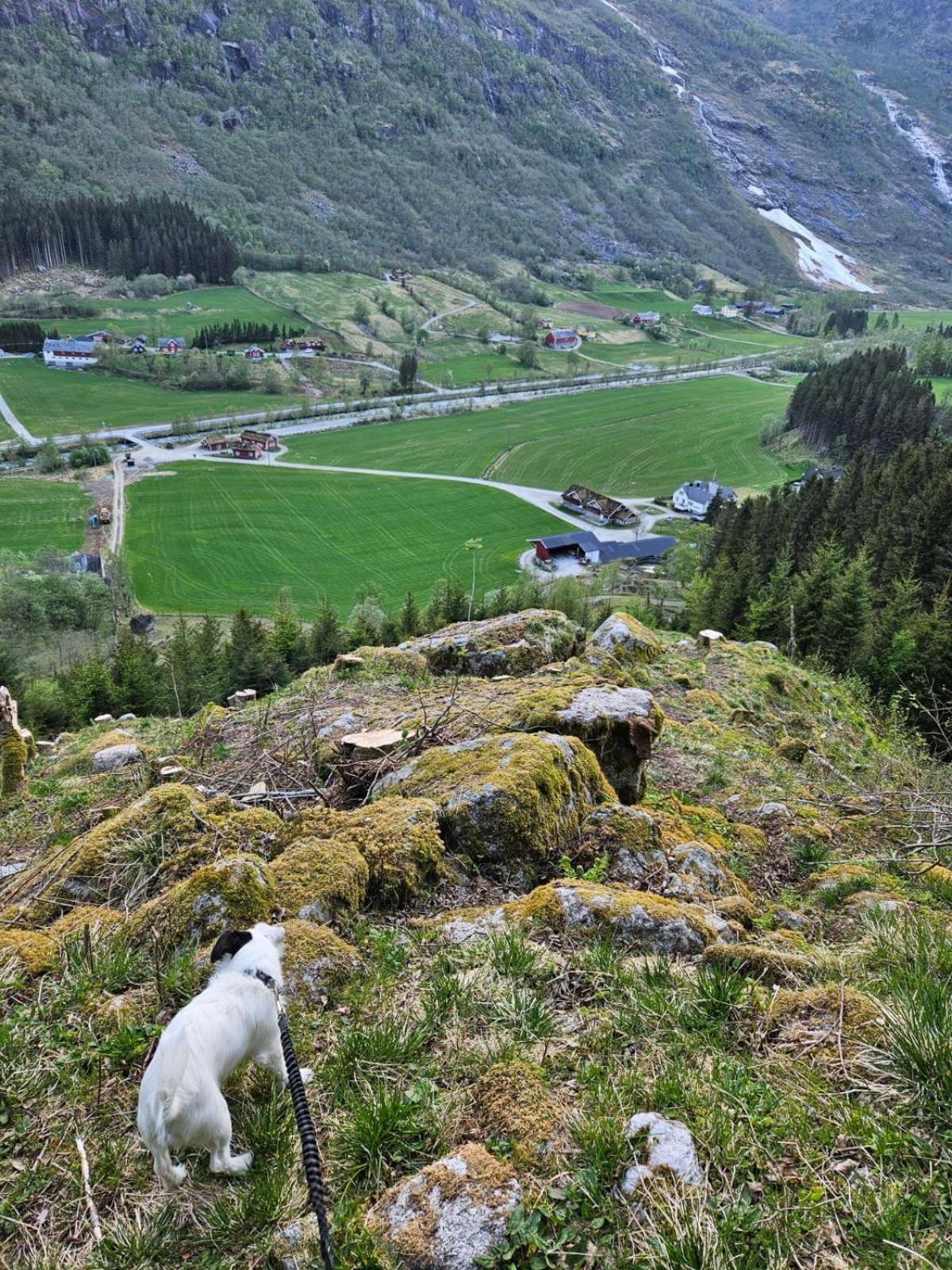 Trollbu Aabrekk Gard Villa Briksdalsbre Exteriör bild