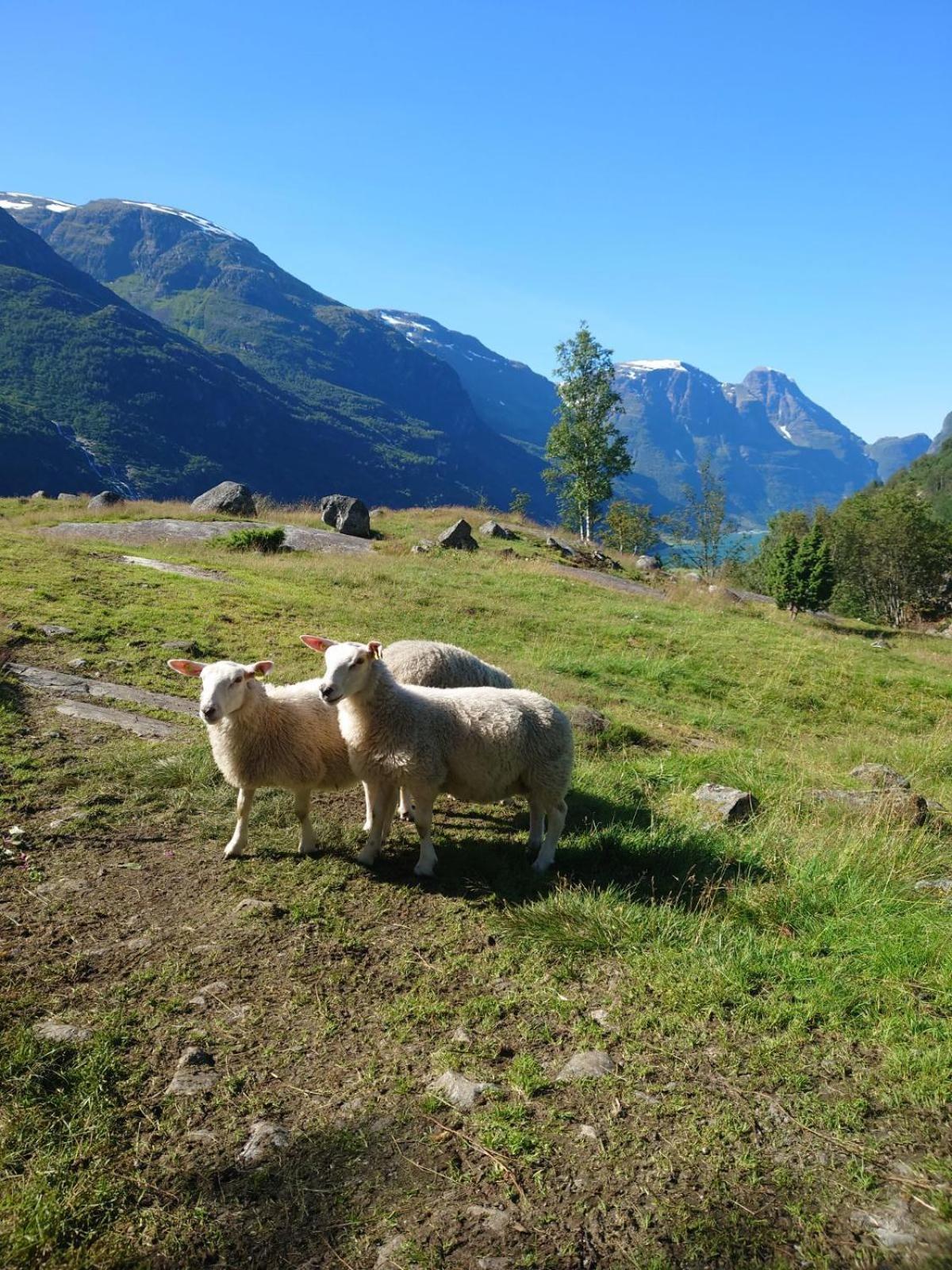 Trollbu Aabrekk Gard Villa Briksdalsbre Exteriör bild